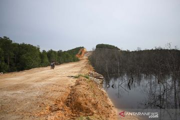 Hutan mangrove ditimbun tanah jadi akses permukiman di Batam