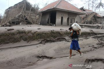 Wapres minta jajaran terkait bekerja cepat atasi dampak letusan Semeru