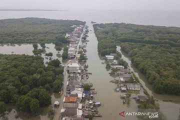 Banjir rob di Muaragembong