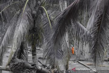 Pencarian korban erupsi Gunung Semeru