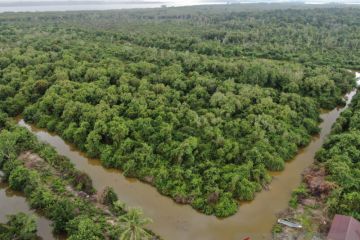 Pemkab Berau apresiasi pembangunan hijau tambak udang masyarakat