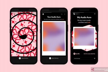 Makna warna "audio aura" di Spotify Wrapped 2021