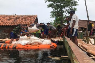 Sebanyak 228 korban banjir Pekalongan masih mengungsi