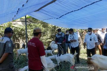 Mentan beri bantuan kepada petani terdampak erupsi Gunung Semeru