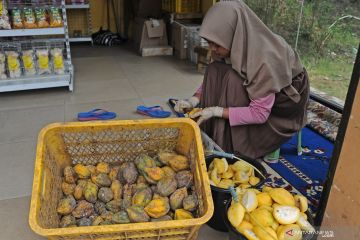 Kemarin, Peringkat unicorn China dan Kemenperin dorong industri buah