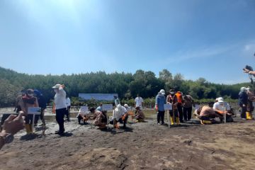 Wamen tegaskan kontribusi BUMN dalam rehabilitasi mangrove