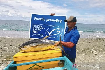 Sertifikat ekolabel MSC dan upaya menjaga laut