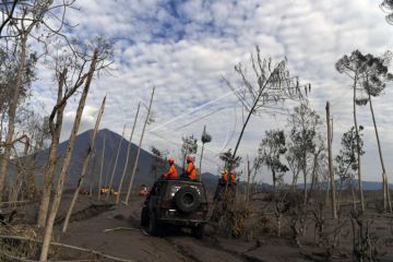 Hari Kelima Pencarian Korban Gunung Semeru