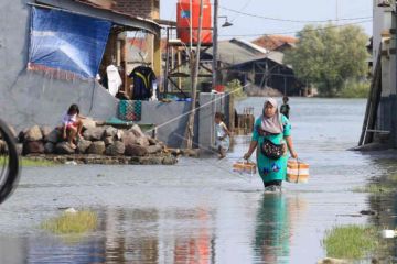 Tangani rob, Pemkab Indramayu ajukan pembangunan pemecah gelombang