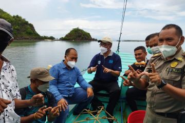 BUMN gandeng masyarakat Labuan Bajo transplantasi terumbu karang