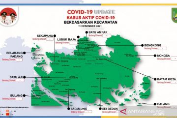 Satgas sebut Kota Batam nihil kasus COVID-19