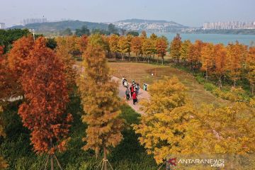 Warna-warni alami taman di tepi sungai Nanning