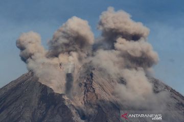 Foto Pilihan pekan kedua Desember 2021