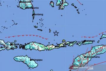 BNPB terima laporan kerusakan akibat gempa Larantuka