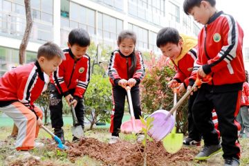 China tanam 78,1 miliar pohon dalam kurun 40 tahun