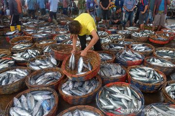 KKP-GEF bersinergi wujudkan kebijakan penangkapan ikan terukur