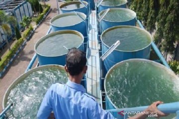 Pemerintah Aceh kejar target universal akses layanan air minum 2030