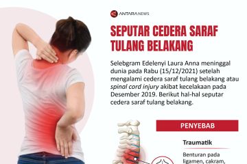 Seputar cedera saraf tulang belakang