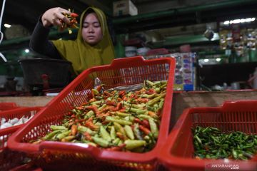 DKI catat seluruh jenis cabai dan bawang alami kenaikan harga