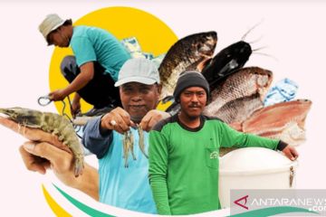 Danamas gandeng eFishery dukung pembiayaan UMKM perikanan