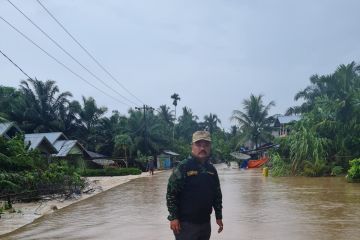 Ratusan haktare lahan pertanian di Pasaman Barat terkena banjir