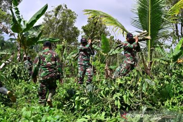 Pemerintah siapkan kebun kopi Perhutani untuk lahan hunian sementara korban erupsi Semeru
