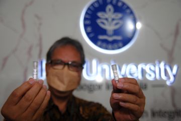 Peneliti IPB kembangkan enzim deteksi virus COVID-19