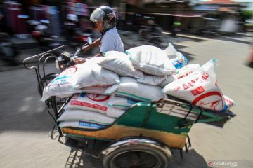 Legislator minta pemerintah bertindak cepat kendalikan harga beras
