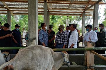 Sulteng resmikan program pengurangan risiko bencana di Donggala