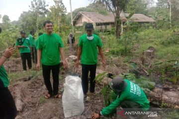 Warga Balangan tanam pohon langka di tempat wisata dan bantaran sungai