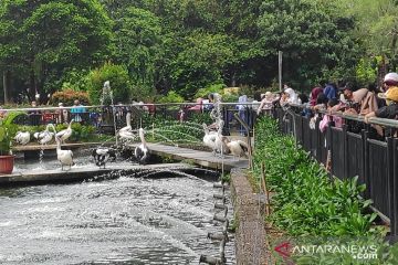 Ragunan dikunjungi 9.798 pengunjung pada liburan Natal