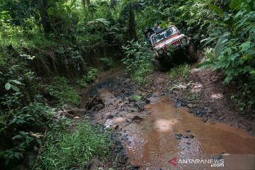 Asyiknya menjelajah Alas Roban dengan mobil offroad