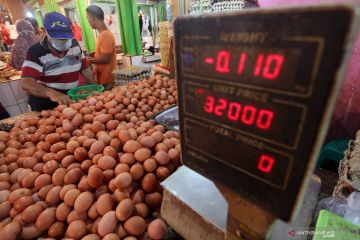 Biaya pakan tinggi picu harga telur ayam ras meroket