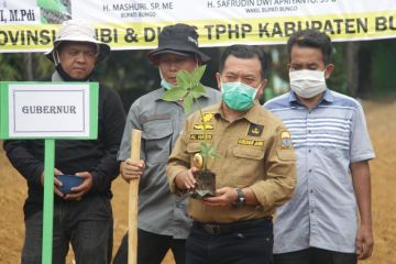 Pemprov Jambi lirik porang jadi komoditas unggulan