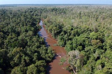 KLHK siapkan sistem monitoring kegiatan restorasi perusahaan HTI