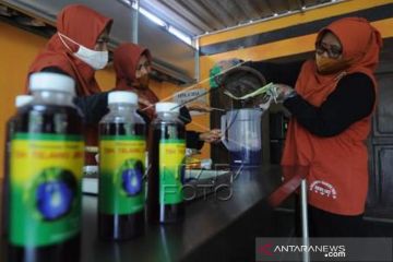 Minuman Teh Bunga Telang