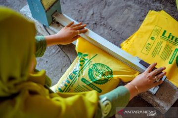 PT Petrokimia Gresik raih penghargaan Propernas Emas