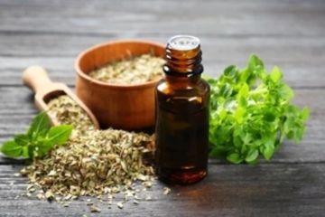 Oregano mampu obati malaria hingga redakan kram perut