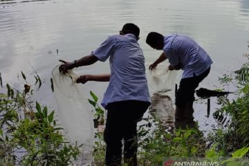 PTPN V tebar sejuta benih ikan di Riau geliatkan ekonomi saat pandemi