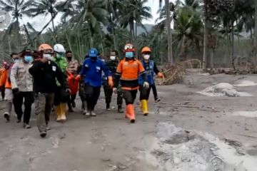 Sebanyak 22 orang meninggal dunia akibat erupsi Gunung Semeru