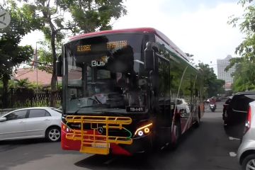 Surabaya operasikan Teman Bus Trans Semanggi Suroboyo