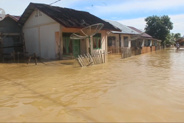 Banjir rendam ratusan rumah warga di Aceh Barat
