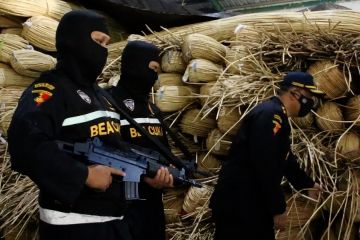 Bea Cukai gagalkan penyelundupan 207 ton rotan