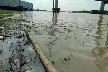 Gubernur dorong komitmen bersama jaga kelestarian Sungai Batanghari