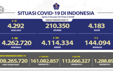 Jelang pergantian  tahun, 193 orang sembuh COVID-19