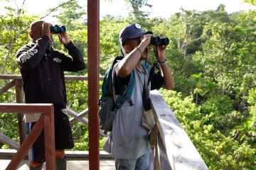 Mata Indonesia: Pahlawan hutan - Bagian 3