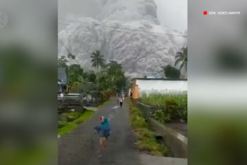 Pakar: Waspada bahaya abu vulkanik Gunung Semeru