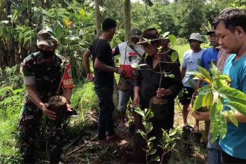 Peringati Hari Ibu, warga Majalengka tanam ribuan pohon produktif