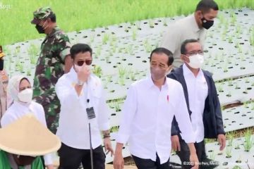 Presiden tinjau lokasi lumbung pangan di Temanggung