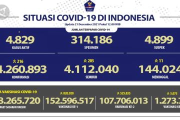 RI tambah 216 kasus baru dan 205 kasus sembuh COVID-19